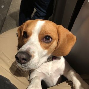 Meet your Posher, Alejandro